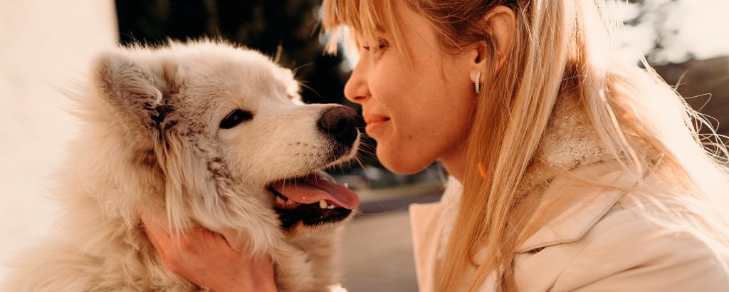 Hundeforsikring - tryghed til din bedste ven. Tilvælg sygeforsikring.